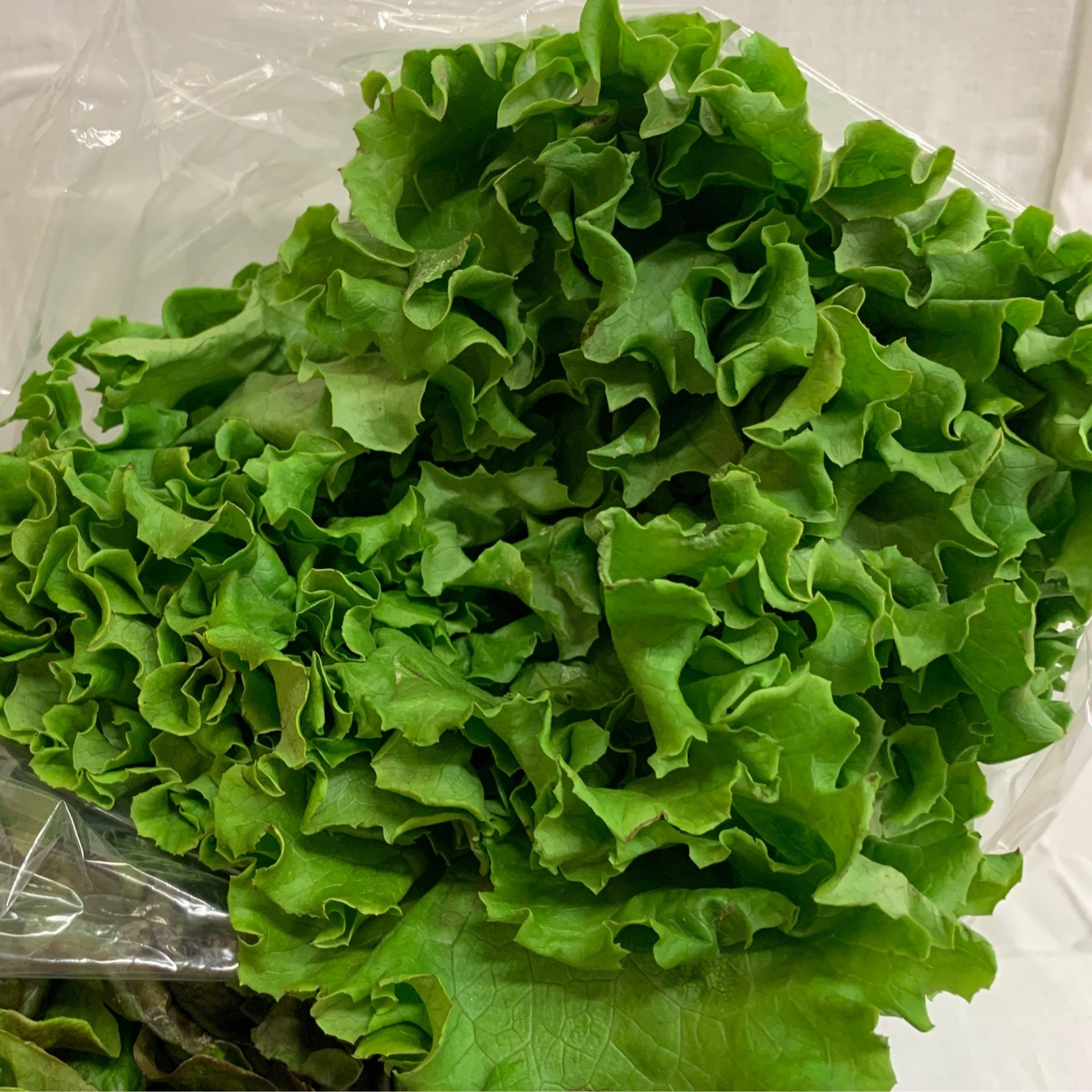 Fresh Lettuce Dutch Country Farm Market LLC